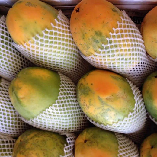 冰糖红心木瓜五斤礼盒装（3个） 商品图7