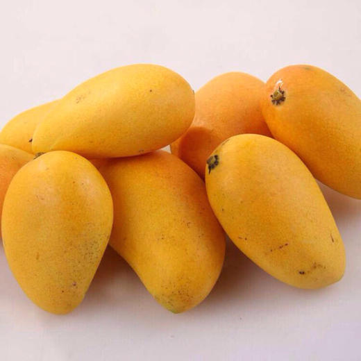 海南芒果种类图片