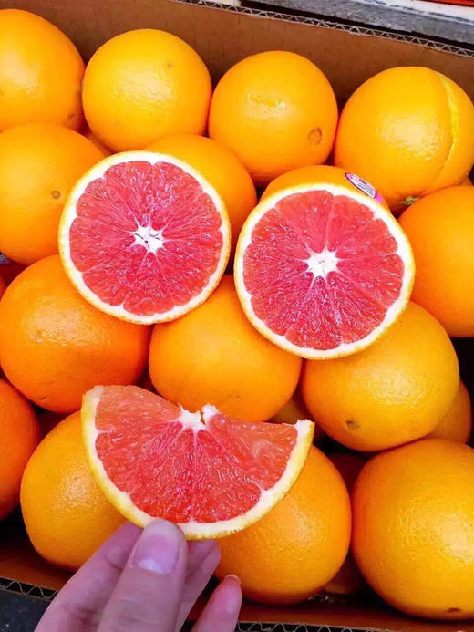 cara cara新奇士进口血橙