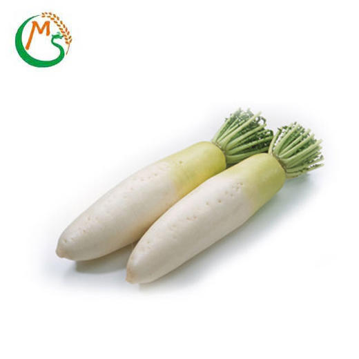 白萝卜(约1.5斤-2斤装) - 民升优鲜