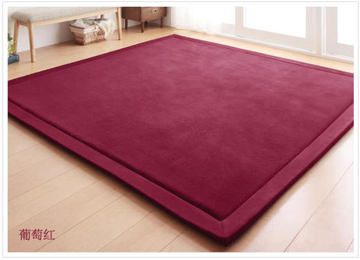 【地毯】日式珊瑚绒地毯 儿童爬行毯榻榻米垫坐垫床垫客厅卧室 商品图10