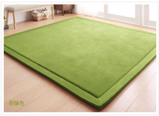 【地毯】日式珊瑚绒地毯 儿童爬行毯榻榻米垫坐垫床垫客厅卧室 商品图9
