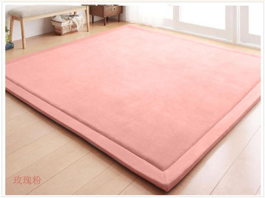 【地毯】日式珊瑚绒地毯 儿童爬行毯榻榻米垫坐垫床垫客厅卧室 商品图3