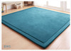 【地毯】日式珊瑚绒地毯 儿童爬行毯榻榻米垫坐垫床垫客厅卧室 商品缩略图5