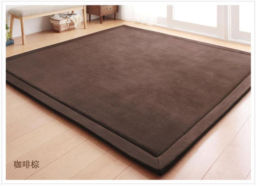 【地毯】日式珊瑚绒地毯 儿童爬行毯榻榻米垫坐垫床垫客厅卧室 商品图8