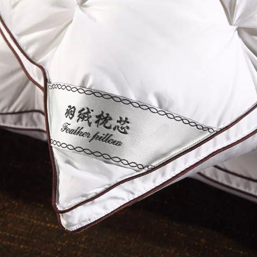 【枕头芯】羽绒枕芯五星级酒店白鹅绒枕头产地货源 商品图6