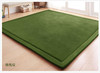 【地毯】日式珊瑚绒地毯 儿童爬行毯榻榻米垫坐垫床垫客厅卧室 商品缩略图11