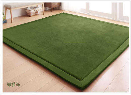 【地毯】日式珊瑚绒地毯 儿童爬行毯榻榻米垫坐垫床垫客厅卧室 商品图11