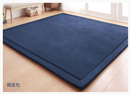 【地毯】日式珊瑚绒地毯 儿童爬行毯榻榻米垫坐垫床垫客厅卧室 商品图2