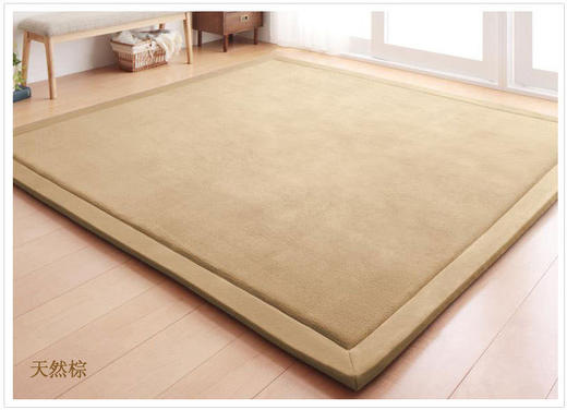 【地毯】日式珊瑚绒地毯 儿童爬行毯榻榻米垫坐垫床垫客厅卧室 商品图6