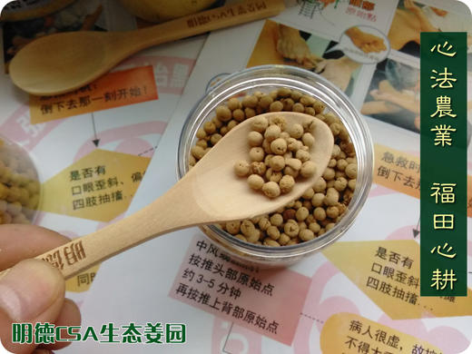 防疫居家团购 “七不”小黄姜姜丸350克农产品 商品图4