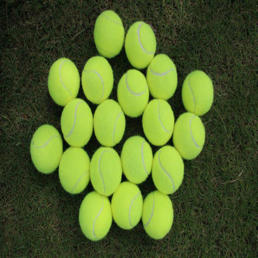 【健身】体育用品 网球 专业训练网球 高弹性耐打网球 商品图0