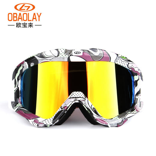 【运动装备】欧宝来H007男女新款双层防雾滑雪眼镜摩托镜防风镜 商品图1