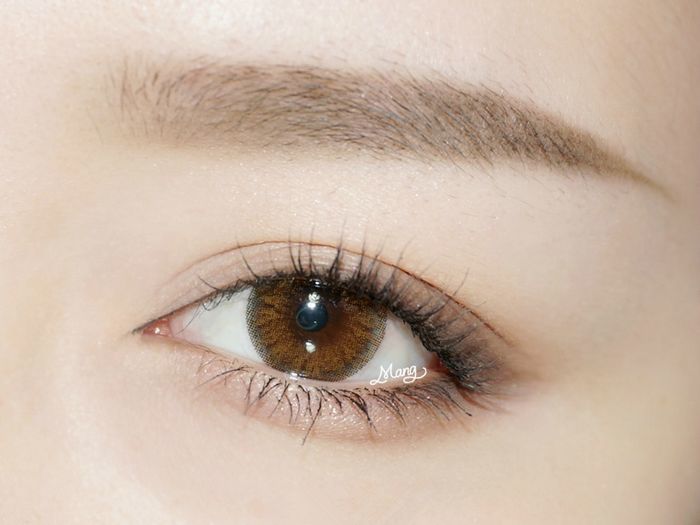 dreamconbariecatcaracolcon琉璃浅棕