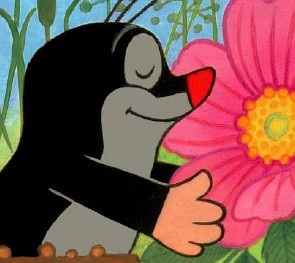 《鼹鼠的故事 - 宝宝起步版》(妈宝团购)