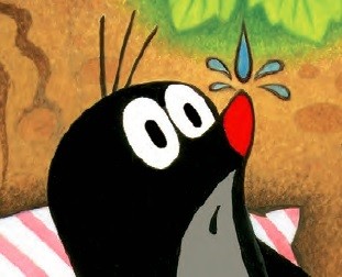 《鼹鼠的故事 - 宝宝起步版》(妈宝团购)