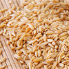 燕麦——杂粮新秀  健康食材 350g 商品缩略图1