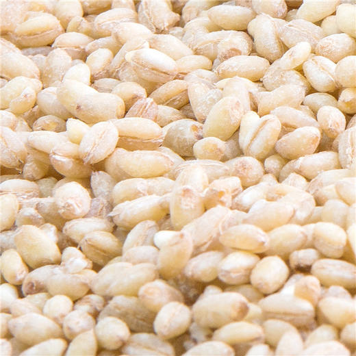 麦仁——膳食纤维  全麦谷物 360g 商品图1
