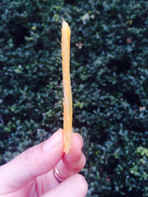 空运海南贵妃芒果 商品图11