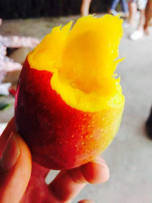 空运海南贵妃芒果 商品图8