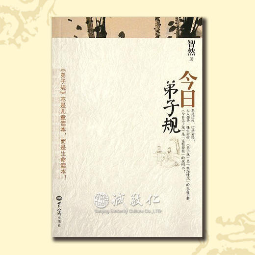 诚敬儒传统文化智然老师 今日弟子规 国学生活应用正版热销 特价 商品图0