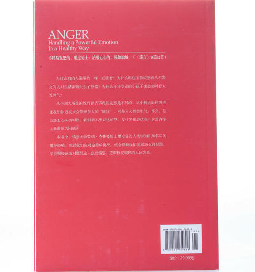 愤怒，爱的另一面 商品图4