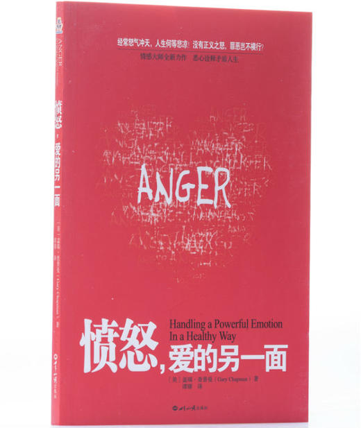 愤怒，爱的另一面 商品图2