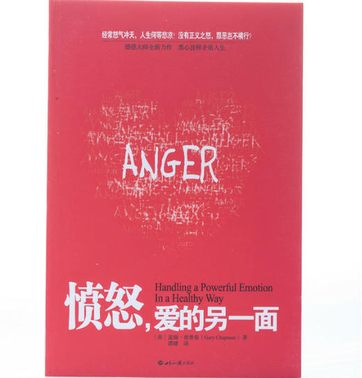愤怒，爱的另一面 商品图3