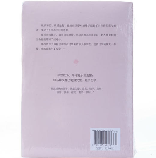 香草山：一个走遍九座香草山，把九种美好的生命特质带回了屈辱谷的故事 商品图5