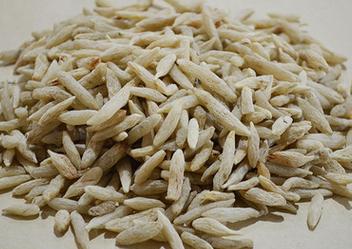 麦冬（1斤装） 商品图0