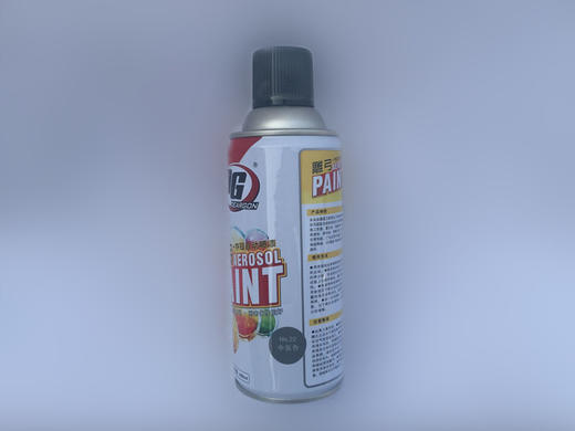 中灰色色喷漆 12瓶/件 商品代码14018 商品图0