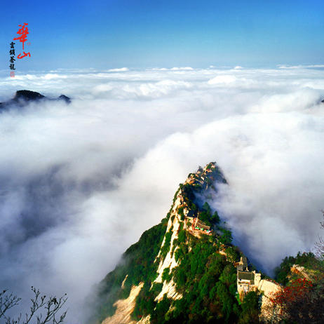 元旦3天【华山西安】梦回长安城-观黄河之瀑-登华山之巅-游秦兵马俑 商品图7