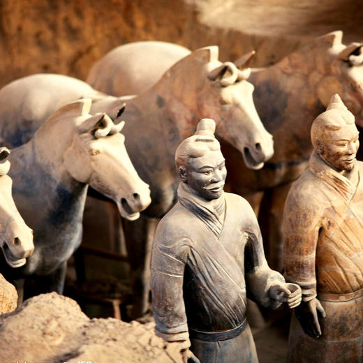 元旦3天【华山西安】梦回长安城-观黄河之瀑-登华山之巅-游秦兵马俑 商品图5