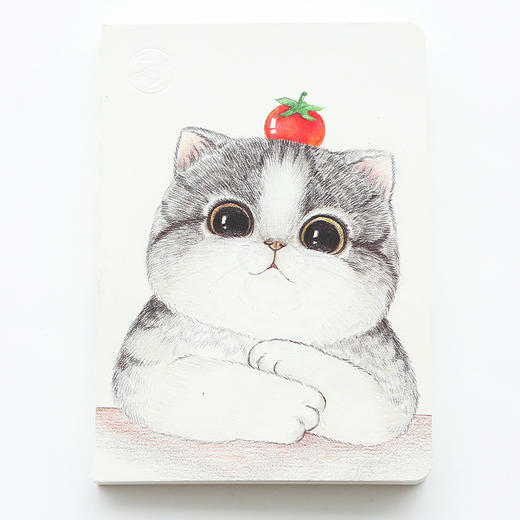 三年二班小清新猫咪日常手帐本家庭生活手帐本创意便携小账本