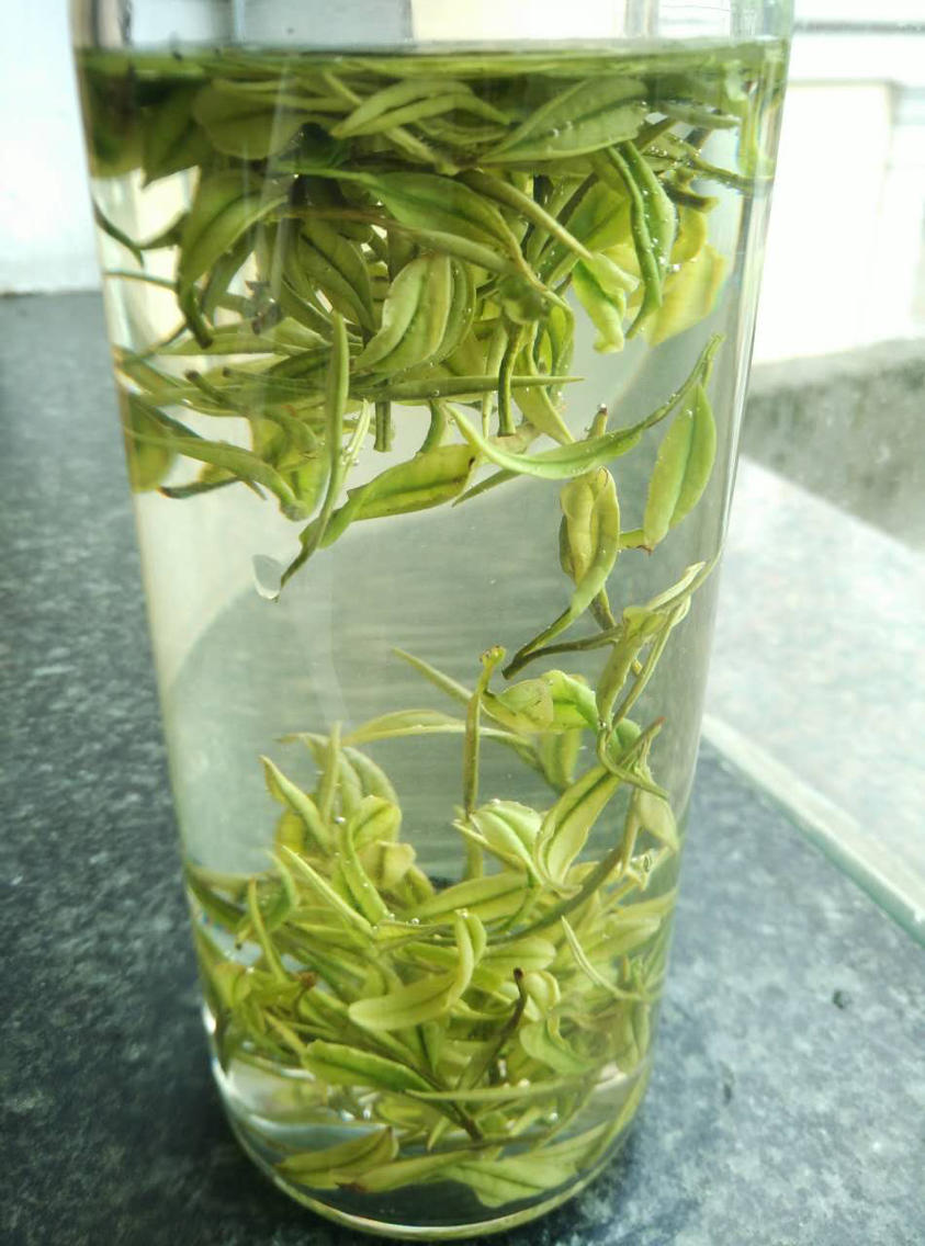 淮安新茶