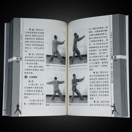 李雅轩杨氏太极拳法精解太极拳书武术书籍太极拳书籍 商品图3