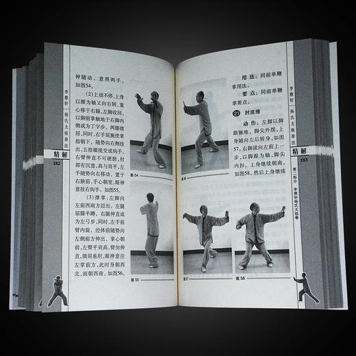 李雅轩杨氏太极拳法精解太极拳书武术书籍太极拳书籍 商品图4