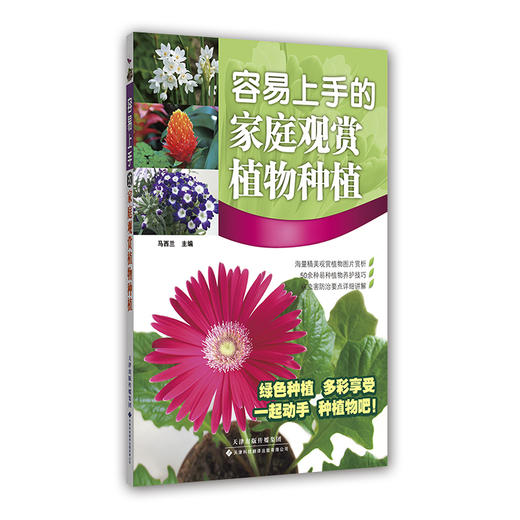 容易上手的家庭观赏植物种植 商品图0