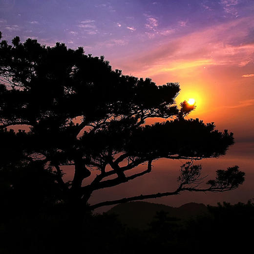 【东岳泰山】(两期)五岳独尊-泰山·日出·云海·趵突泉·大明湖