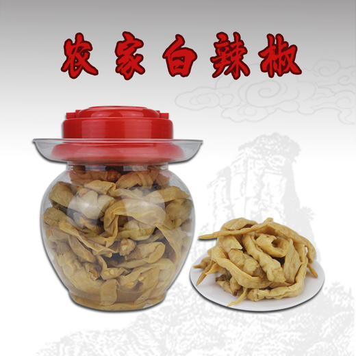 【梅山老农】湖南新化土特产坛子菜农家白辣椒650g 商品图1