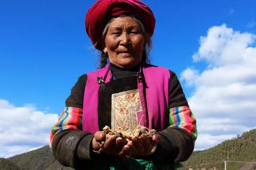 高海拔有机玛咖切片 商品图1