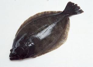 【鲽鱼身段】产地：格陵兰，42元/斤 商品图1
