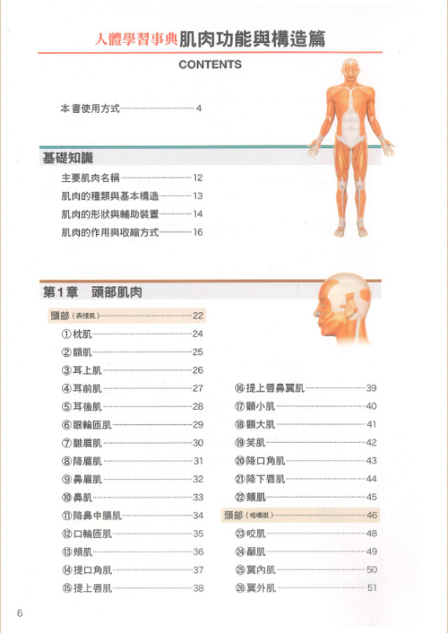 肌肉的功能与构造篇人体学习事典肌肉功能解剖书籍现货