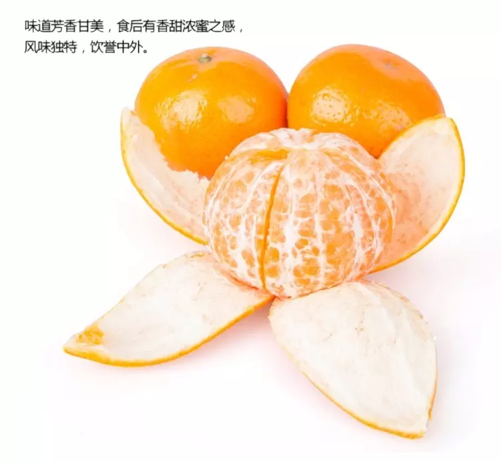 纯甜香妃柑