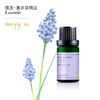 新品上架啦~【纯妧手工坊】微漾·进口99%法国薰衣草单方精油 商品缩略图0