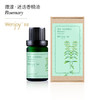 新品上架啦~【纯妧手工坊】微漾·进口99%西班牙迷迭香单方f精油 商品缩略图2