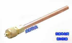 恒森优质单向阀10CM 10只/袋 商品代码28018