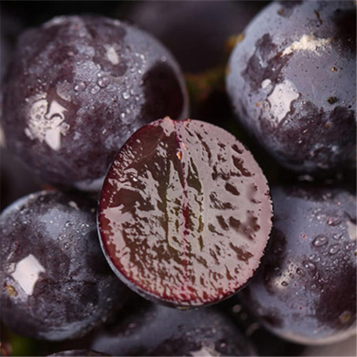 至尊无籽黑提黑加仑