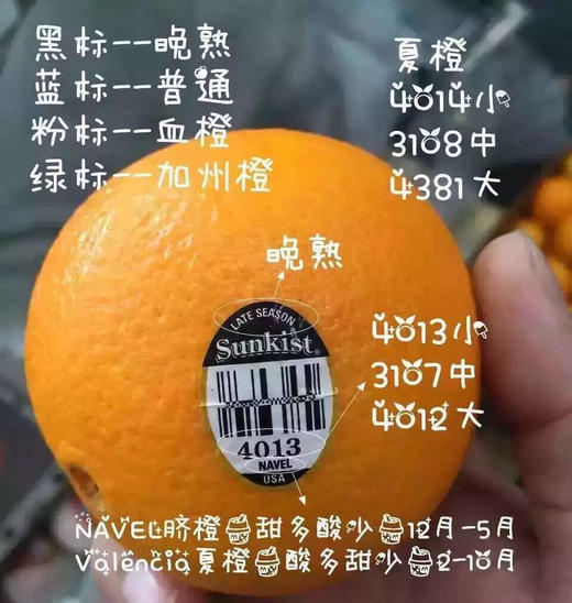 【进口】3107黑标甜橙8斤 商品图8