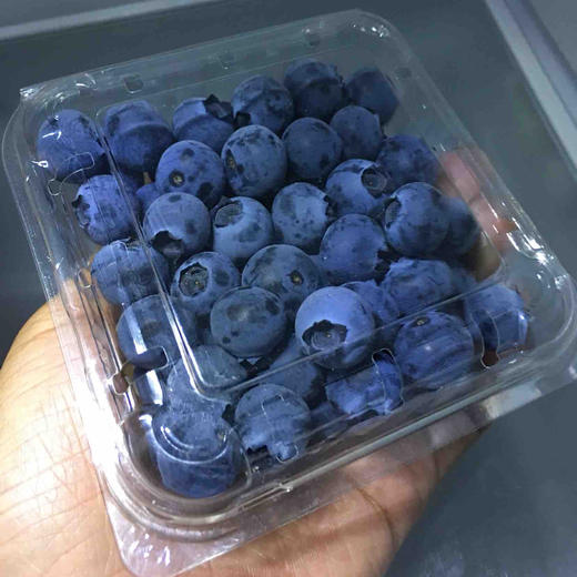 小众品种蓝莓，甜度高，香味浓，无农残标准，可免洗食用。京东包邮 商品图1